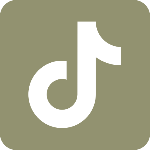 TikTok icon